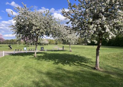 Wakes and Memorials 7