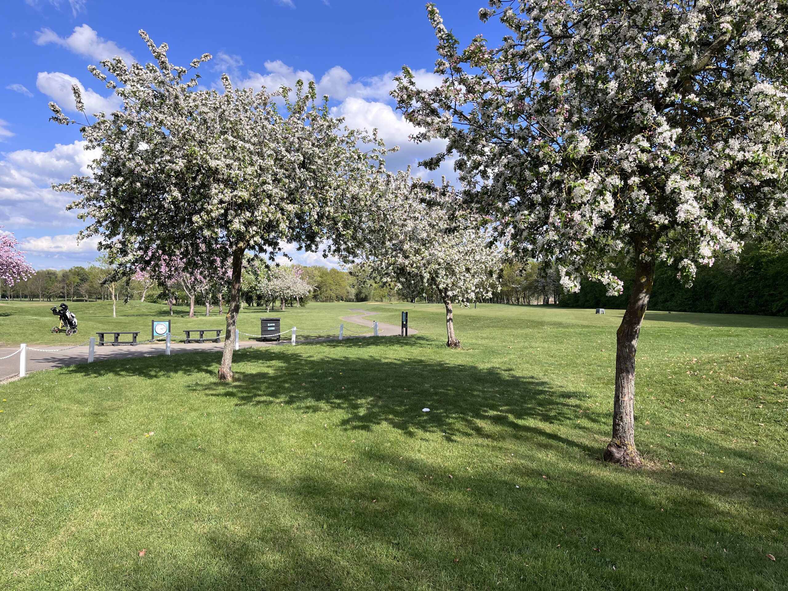 IMG_4676 Wakes and Memorials 2