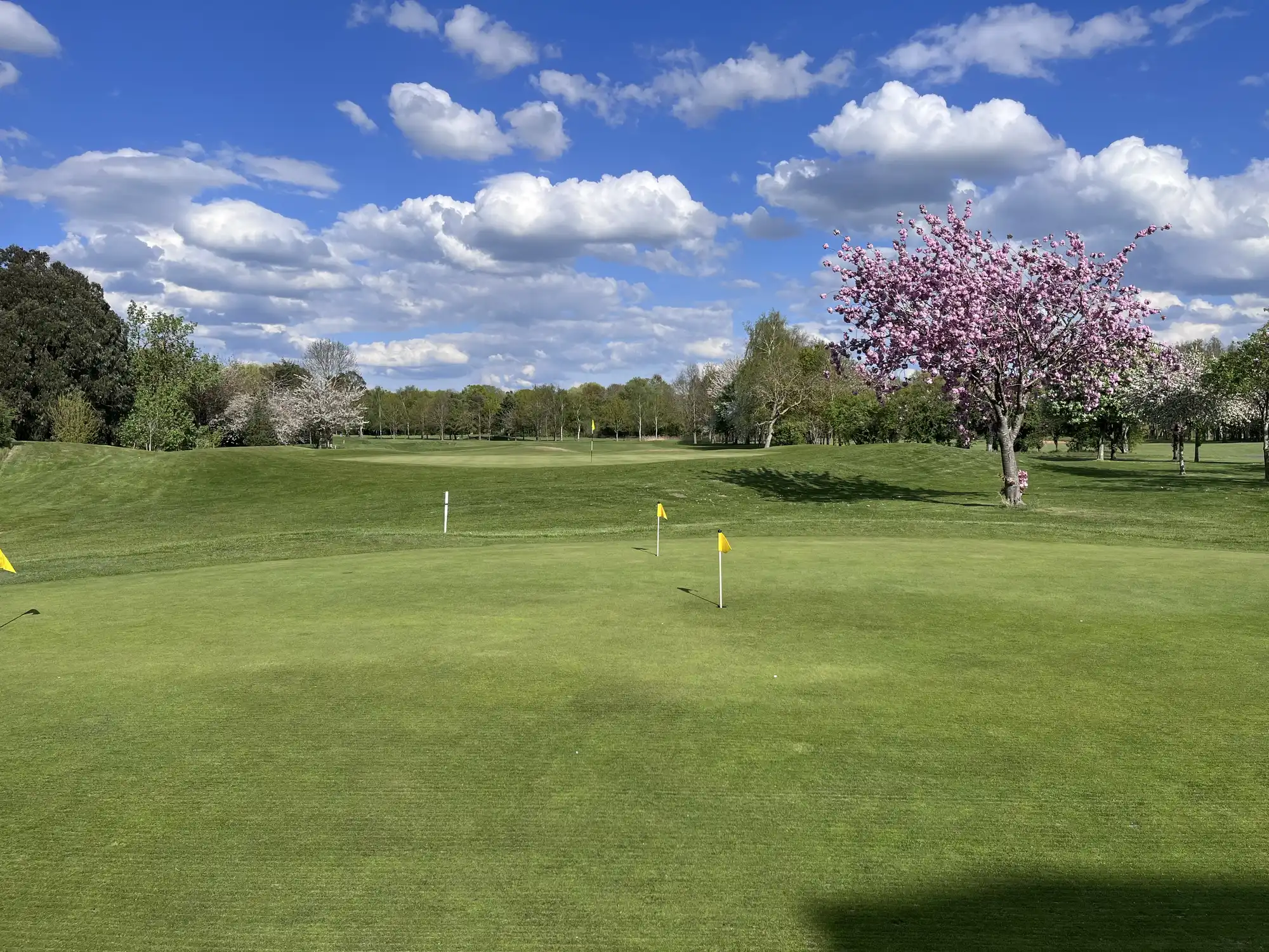 Brampton Park Golf Club 7 Spring blossom beside the fairway at Brampton Park Golf Club